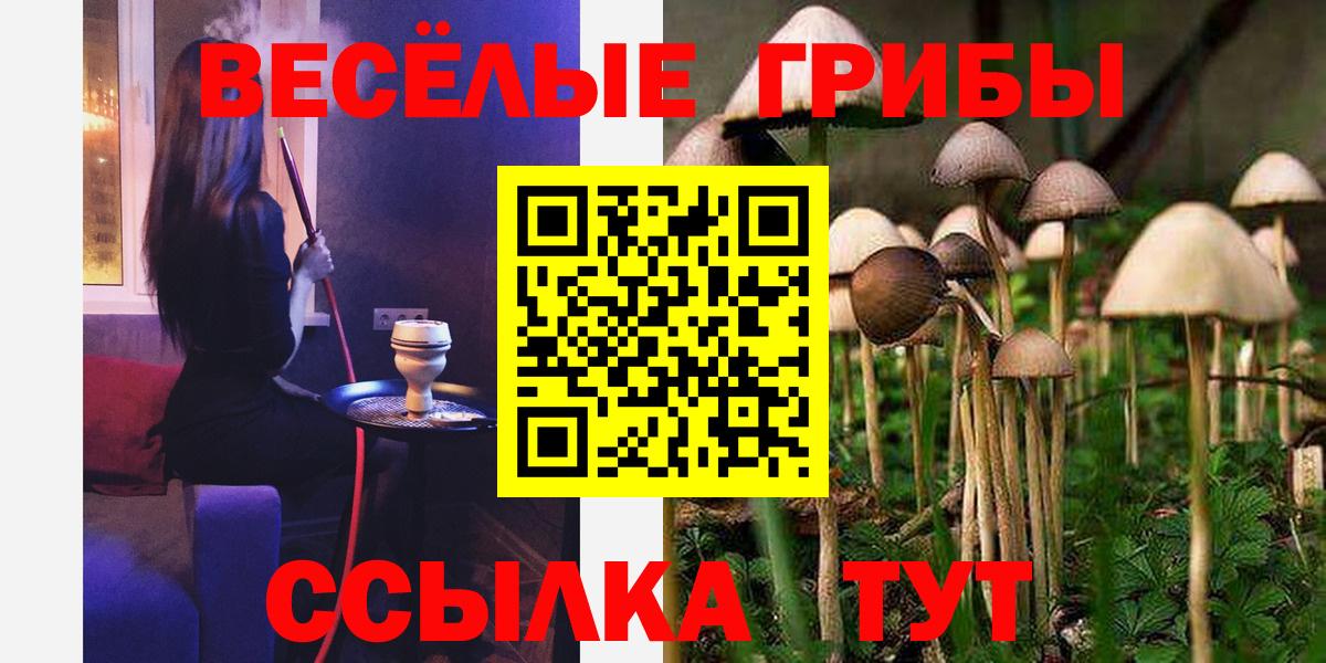 Галлюциногенные грибы Psilocybine cubensis  Вход с VPN  Фролово  Галлюциногенные грибы ЛСД 